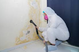 Best Environmental Consulting for Mold Prevention  in Conneaut, OH